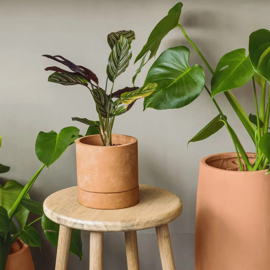 Balkon- & Gartenaccessoires^DPJ Workspace Blumentopf A.J - SET