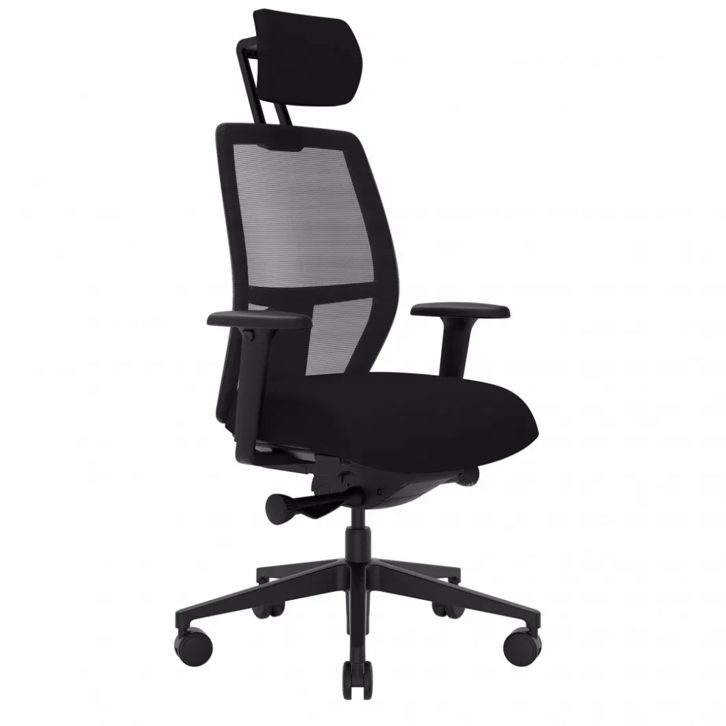 Bürostühle^DPJ Workspace Ergonomischer Bürostuhl Savo Soul
