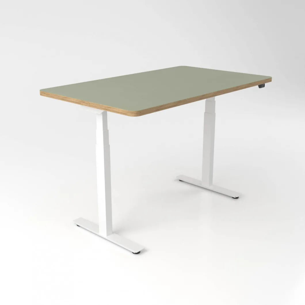Höhenverstellbarer Schreibtisch | Schreibtisch^DPJ Workspace Höhenverstellbarer Schreibtisch Premium Plus - Linoleum, 120x70 cm
