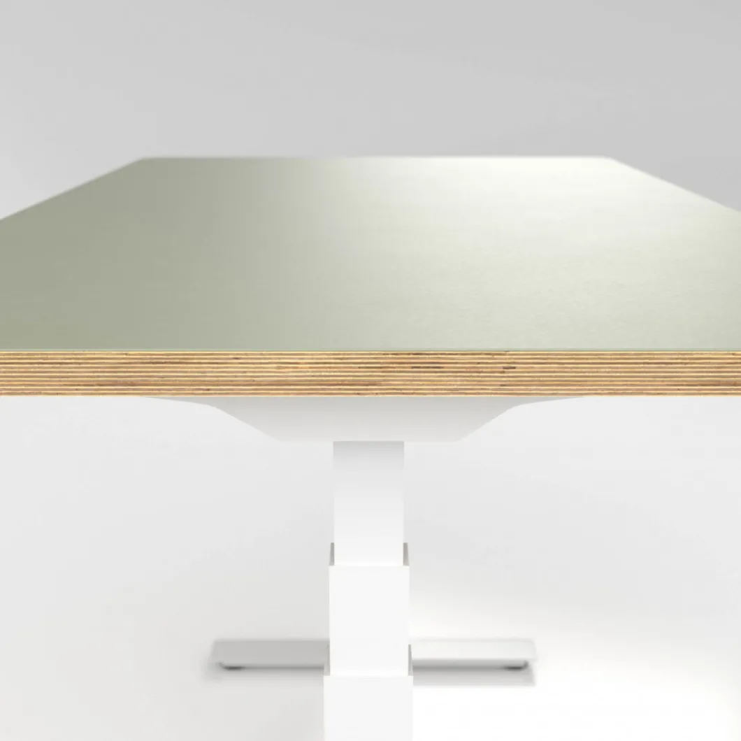 Höhenverstellbarer Schreibtisch | Schreibtisch^DPJ Workspace Höhenverstellbarer Schreibtisch Premium Plus - Linoleum, 120x70 cm