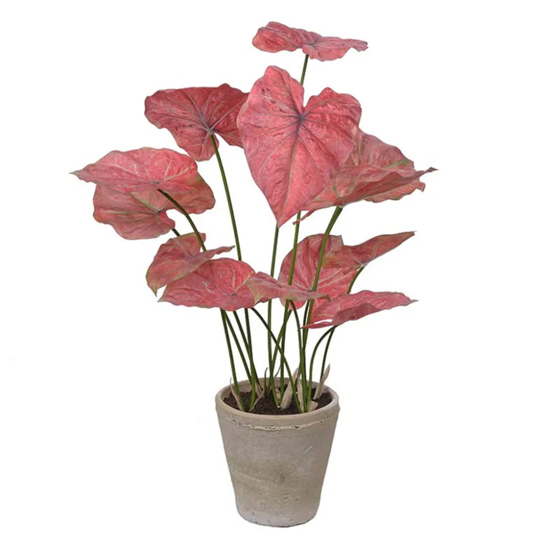 Kunstpflanzen^DPJ Workspace Kunstgewächs Caladium - Mit Blumentopf