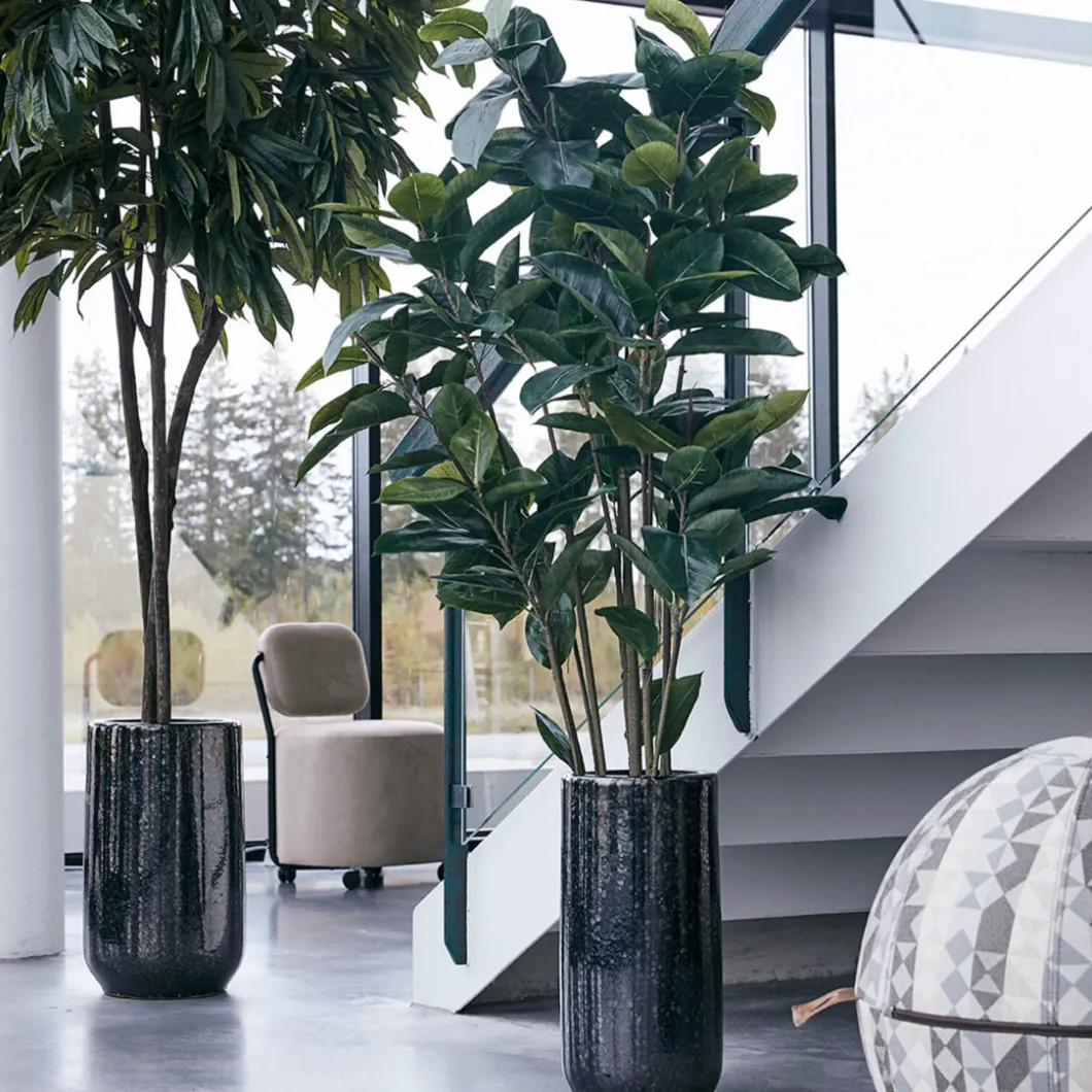 Kunstpflanzen^DPJ Workspace Kunstgewächs Ficus Robusta