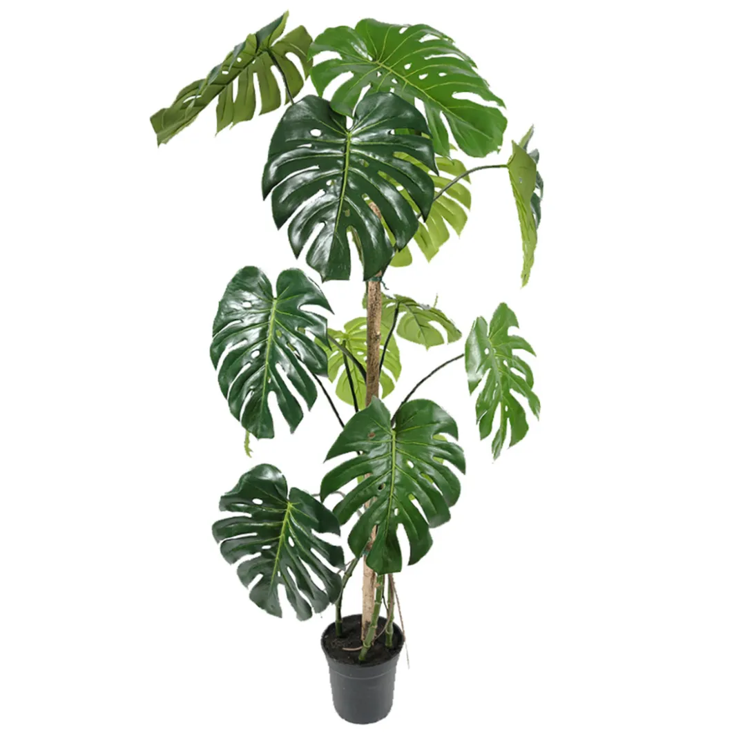 Kunstpflanzen^DPJ Workspace Kunstgewächs Monstera 150 cm