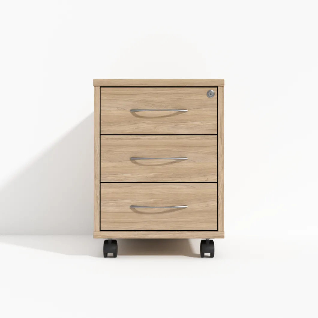Rollcontainer^DPJ Workspace Rollcontainer Modea