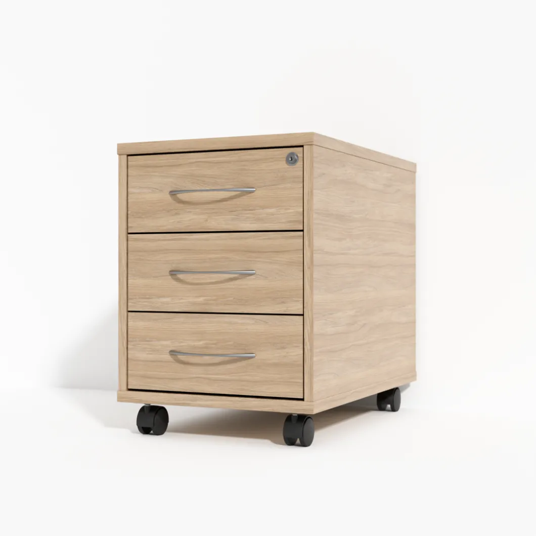 Rollcontainer^DPJ Workspace Rollcontainer Modea