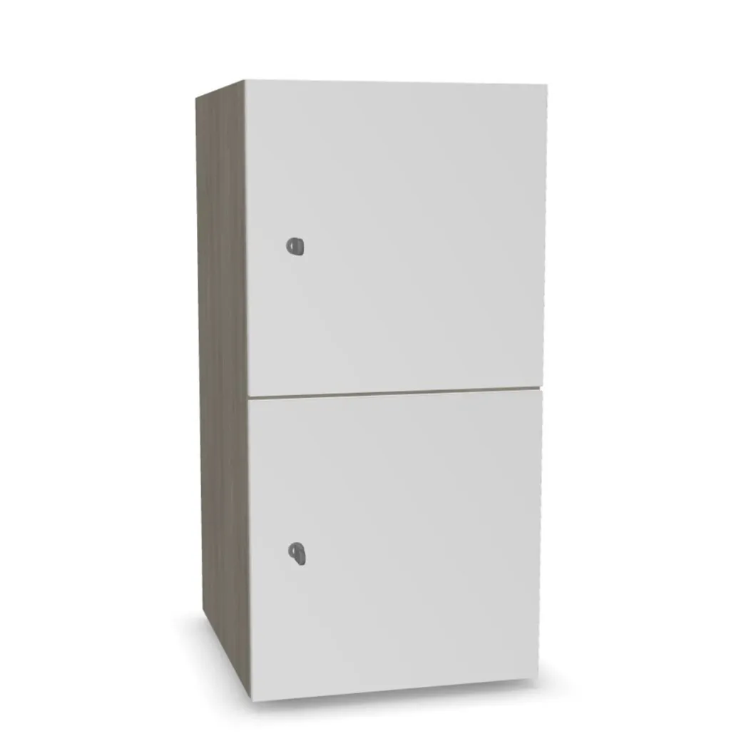 Büroschränke^DPJ Workspace Schrank Choice - 2 Türen
